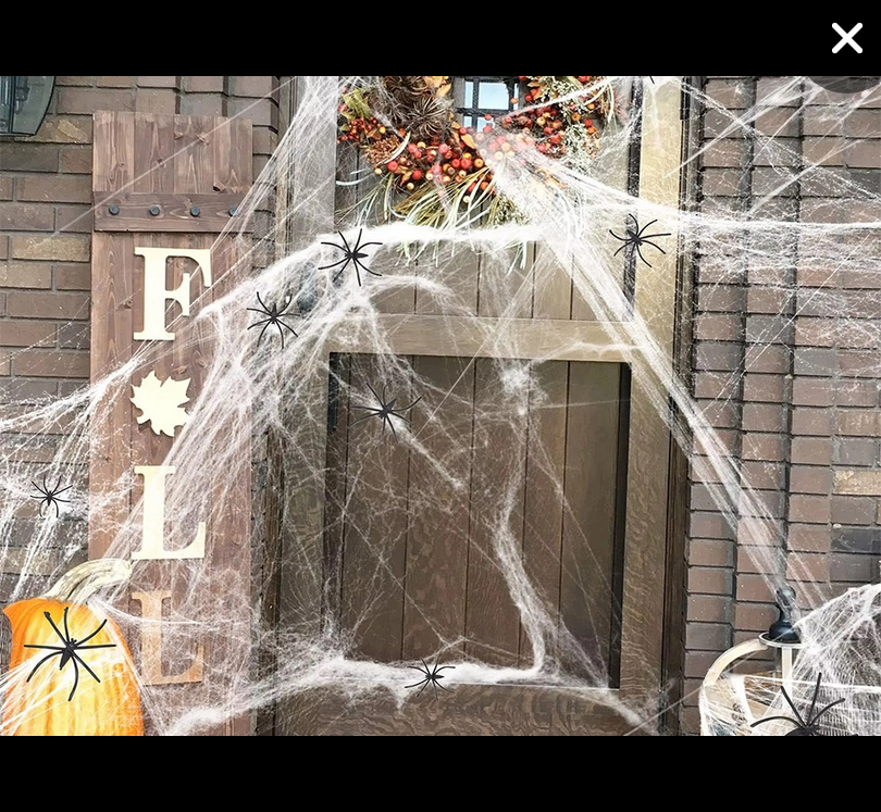 Pavučina s pavoukem