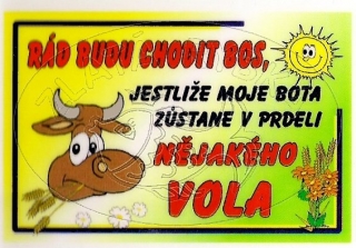Průkaz budu chodit bos