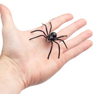 Pavouk tarantule 9cm