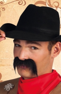 Knírek gringo